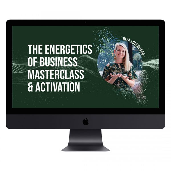 the energetics of business masterclass & activation - riya loveguard